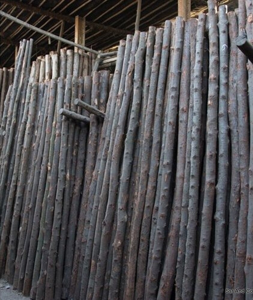 Pine Wood
